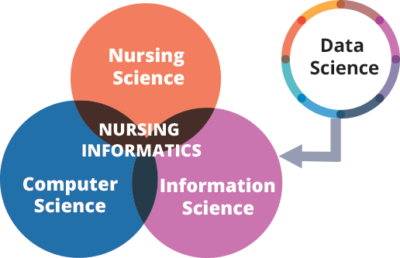 nursing informatics research paper